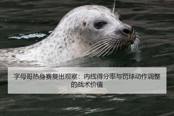 zi-mu-ge-re-shen-sai-fu-chu-guan-cha-nei-xian-de-fen-lv-yu-fa-qiu-dong-zuo-tiao-zheng-de-zhan-shu-jia-zhi-3-397.jpg